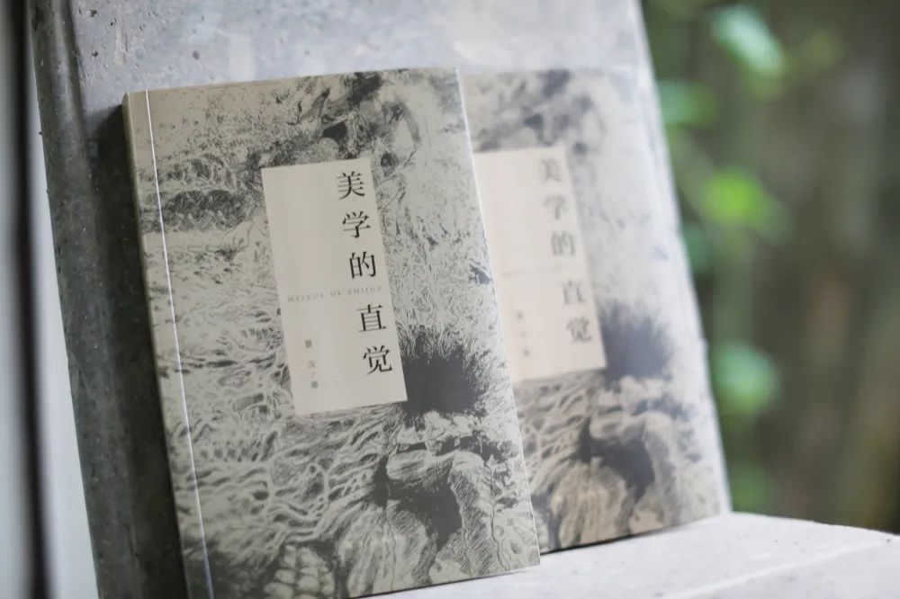 ����ѧ��ֱ������ �ĺ���֪�ԡ��롰���ԡ���ʫ������ʵ��